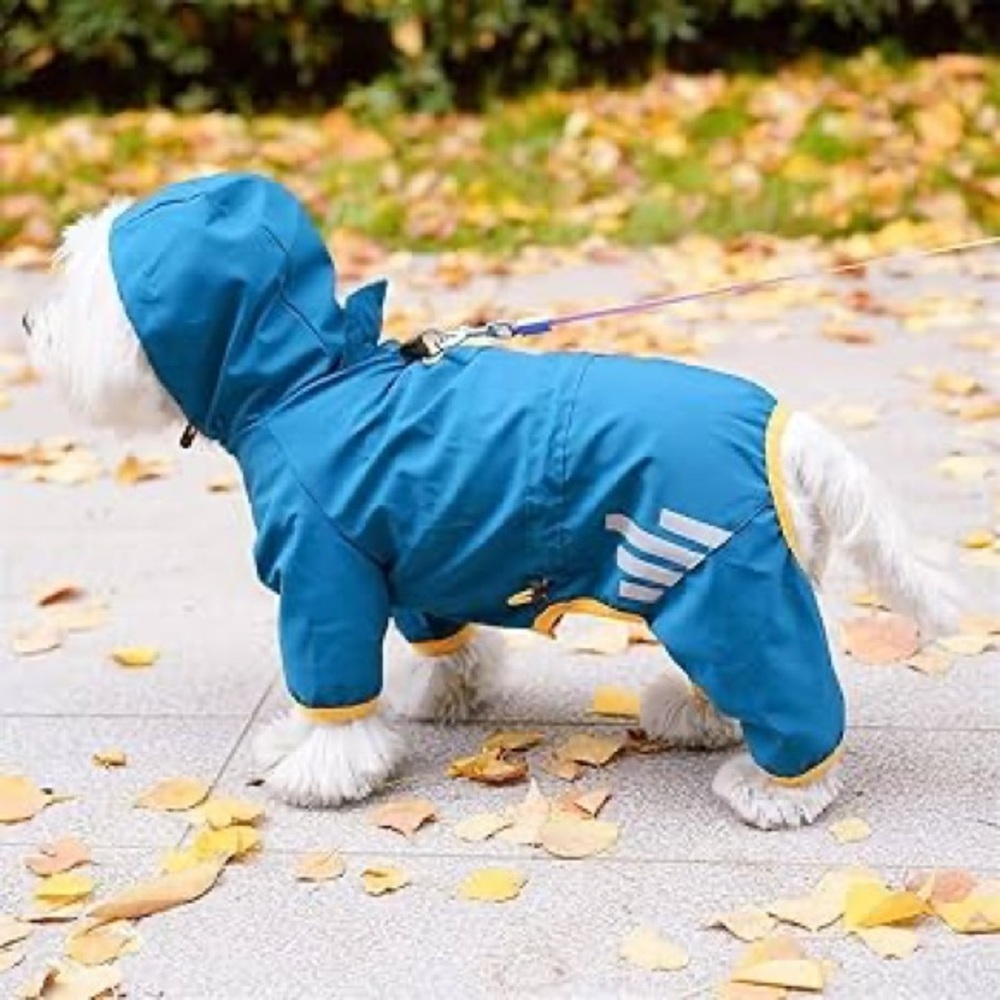 Blue Dog Raincoat with Yellow Trim